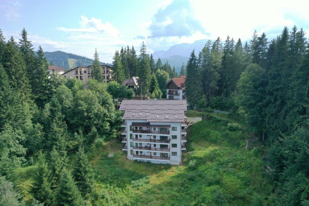 Nature House Predeal Esterno foto